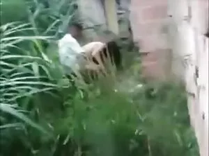 Unidad pono en españ ...